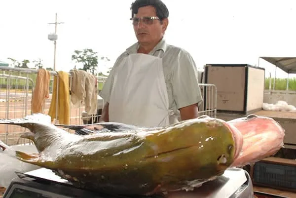 O evento deve atrair aproximadamente 25 mil pessoas