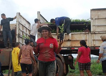 Assentados do PA Campo Alegre foram contemplados