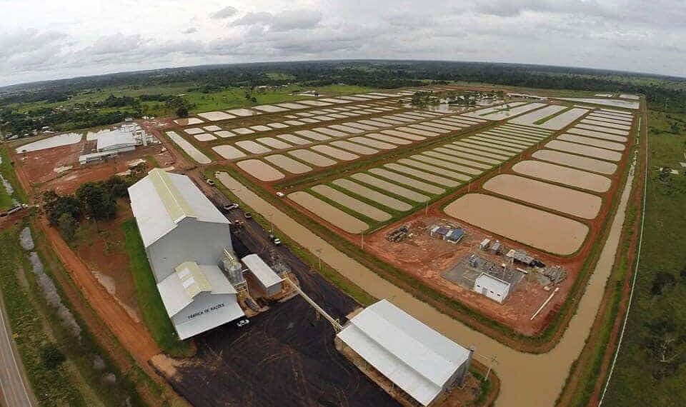 Peixes da Amazônia já está em fase final de implantação no Acre, afirma o governo