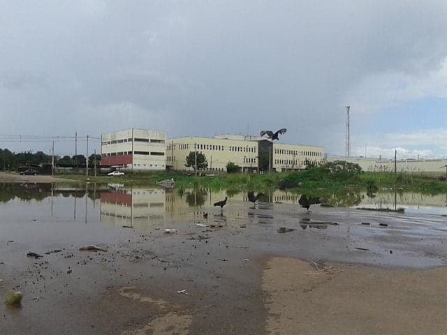 Madeira em PVH - DO PORTAL www.rondoniaovivo.com 2