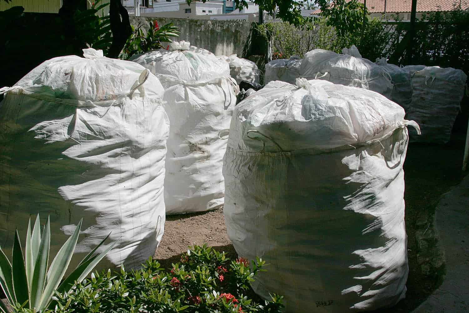 Alguns materiais plásticos levam até 450 anos para se decompor