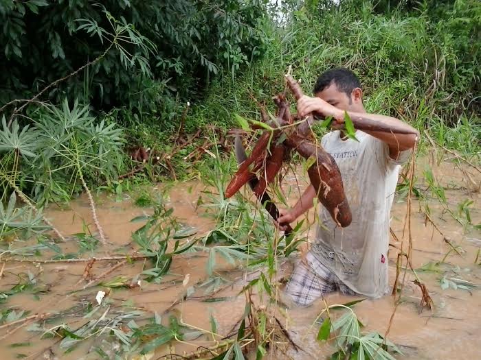 relatório - ASSESSORIA PMRB 3