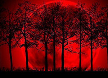 Fenômeno ocorre no próximo sábado, por volta das 4h01. (Foto: Divulgação)