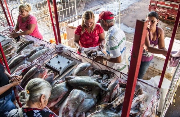 Feira do Peixe inicia neste sábado na Ceasa e nos principais mercados de Rio Branco