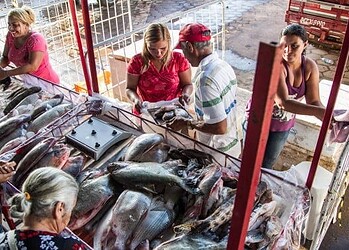 Feira do Peixe inicia neste sábado na Ceasa e nos principais mercados de Rio Branco