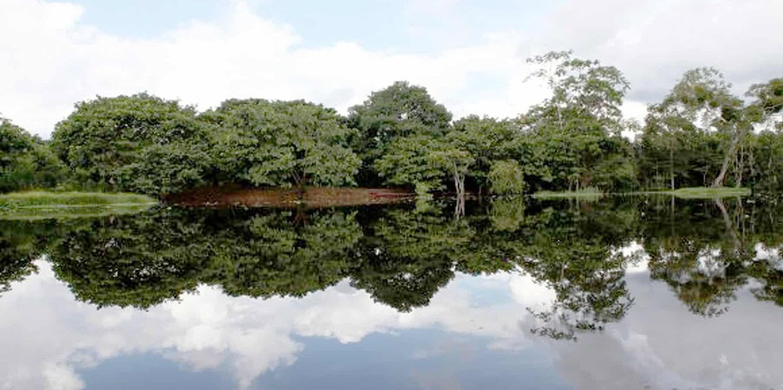 Acre é parte da maior área de florestas naturais do Brasil