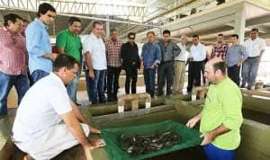 Empresários conheceram o funcionamento do complexo