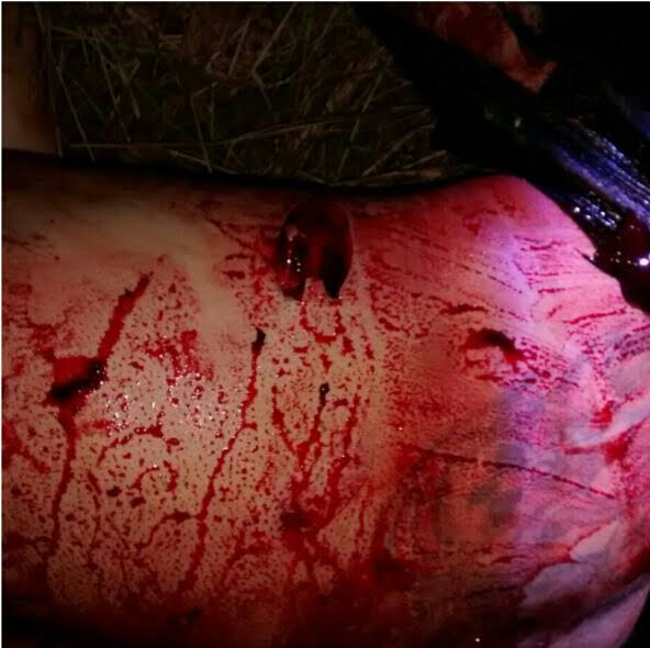 Homem é assassinado com 11 facadas