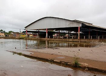 Dados da ANA revelam pequeno recuo do Rio Madeira, mas risco de avanço ainda é iminente