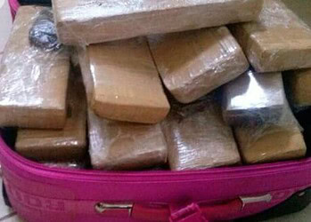 Suposta ‘Mula’ do tráfico é presa pela PRF com 20 kg de maconha