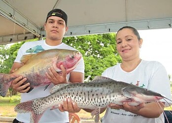 Começa feira do peixe do Quixadá na Arena de Esportes Radicais