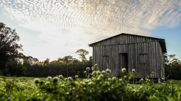 KfW garante 5 milhões de euros por baixa emissão de carbono no Acre