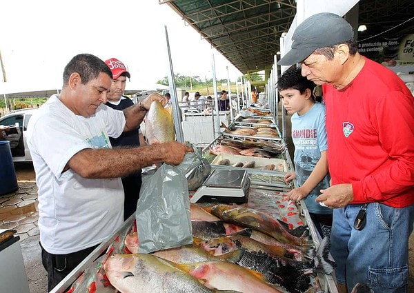 Feira do Peixe na Ceasa reúne mais de 100 produtores familiares
