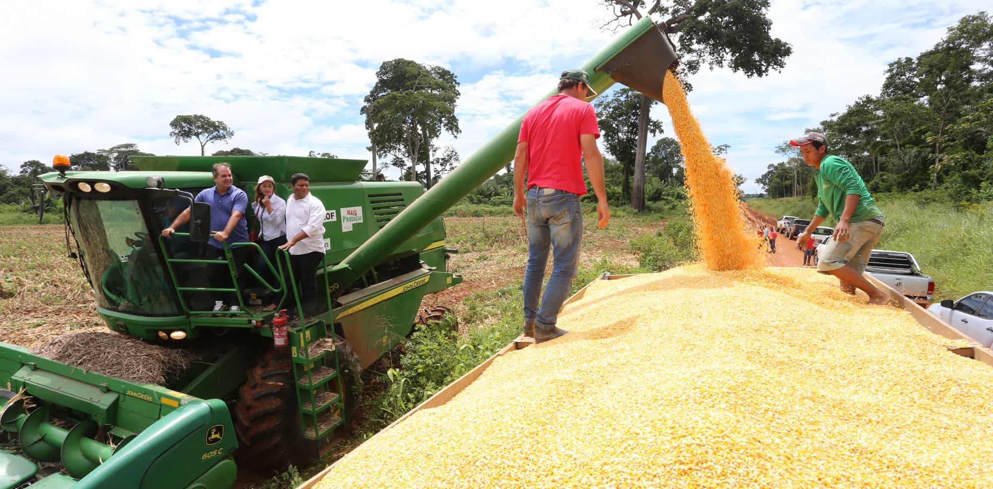 Seap afirma que o Acre é autossuficiente na produção de milho com a mecanização 2 A autossuficiência é resultado de investimentos do governo no setor agroindustrial