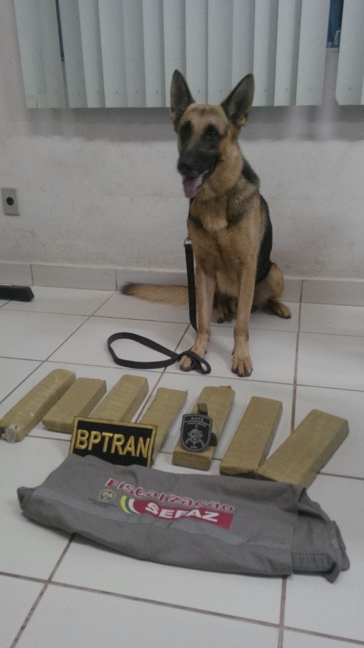 Ação conjunta da PM e Sefaz apreende quase 6kg de drogas na Tucandeira