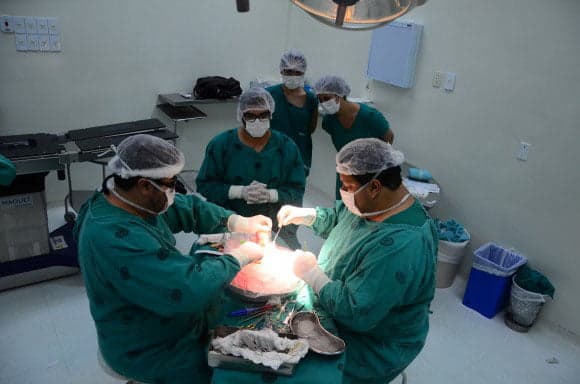 Só neste ano, a Central já realizou 11 transplantes. (Foto: Ascom Sesacre)