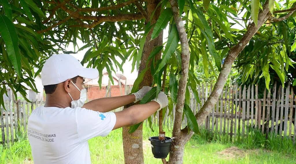 Prefeitura de Rio Branco intensifica ações de combate à dengue nos bairros da Capital 1 Prefeitura de Rio Branco intensifica ações de combate à dengue nos bairros da Capital