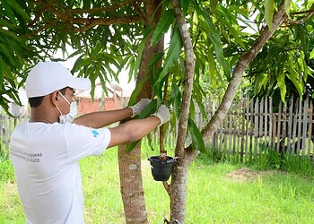 Prefeitura de Rio Branco intensifica ações de combate à dengue nos bairros da Capital