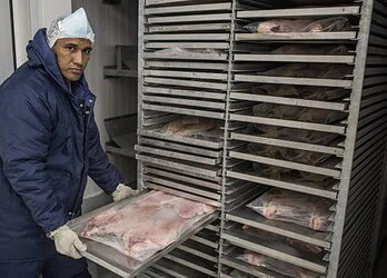 Certificação do Serviço de Inspeção Federal garante exportação dos produtos