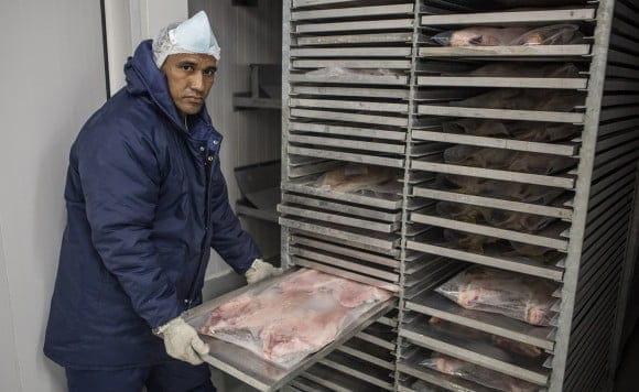 Certificação do Serviço de Inspeção Federal garante exportação dos produtos