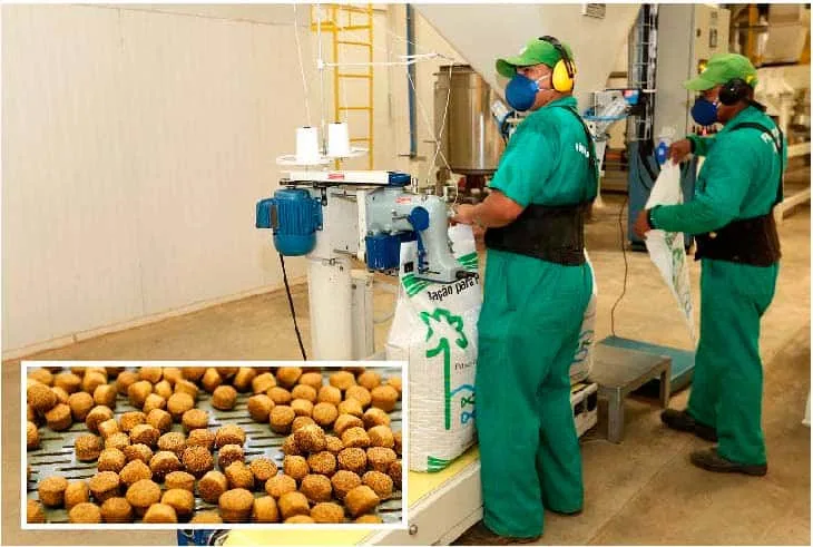 Inicialmente, serão exportadas 10 mil sacas de 25 kg de ração