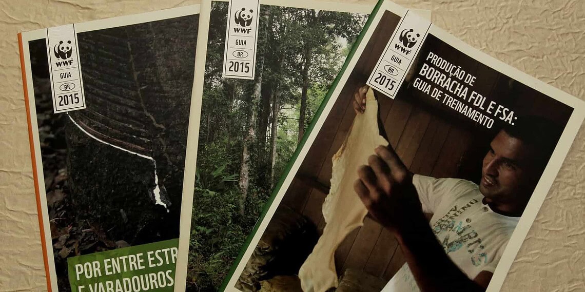 Reserva Chico Mendes é tema de três publicações do WWF Brasil 1 (Foto: Angela Peres)
