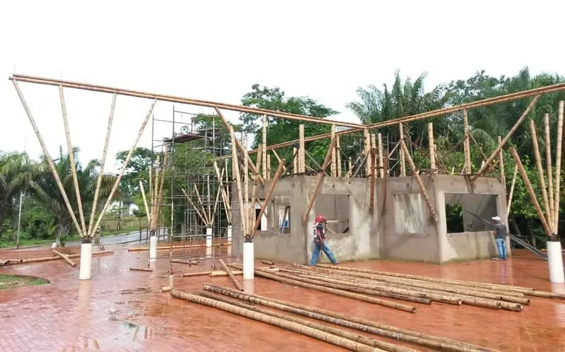 Fábrica de beneficiamento de bambu deve gerar mais de 100 empregos 1 O primeiro produto a ser desenvolvido pela empresa serão os painéis de bambu. (Foto: Cedida)