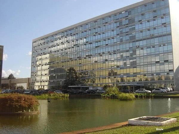 Novo balanço do Ministério da Saúde mostra redução nos casos de dengue