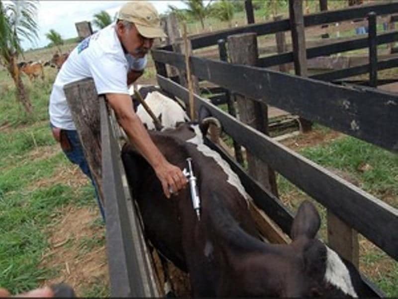 Primeira etapa da campanha começou desde sexta. (Foto: Divulgação)