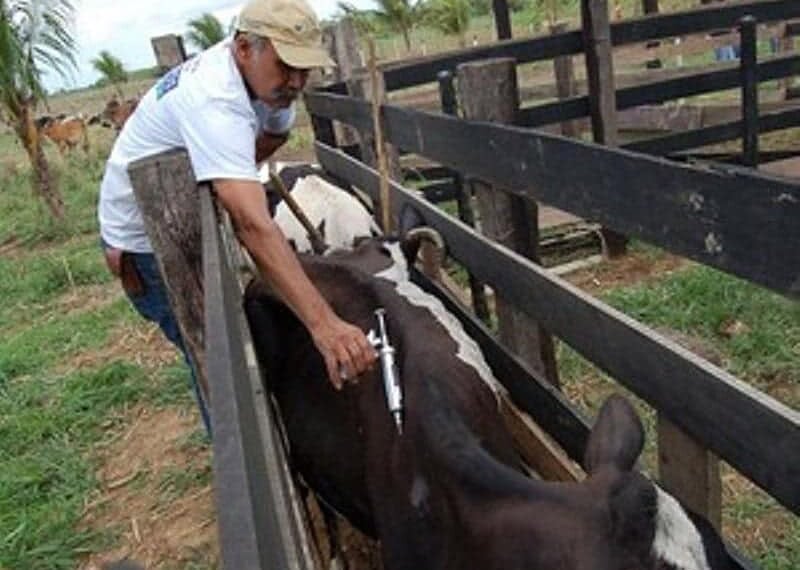 Primeira etapa da campanha começou desde sexta. (Foto: Divulgação)