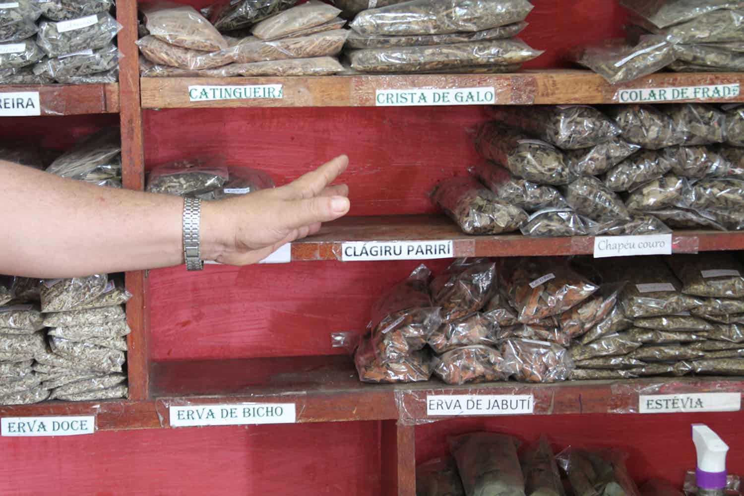 ‘Doutor Raiz’ fala de escassez de plantas medicinais em decorrência de enchentes 2 Doutor raiz - OL (4)