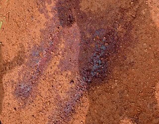 Foto/Aline Nascimento