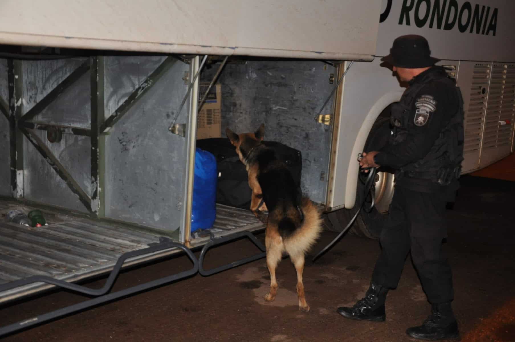 Forças de Segurança deflagram operação na rodovia BR-364 3