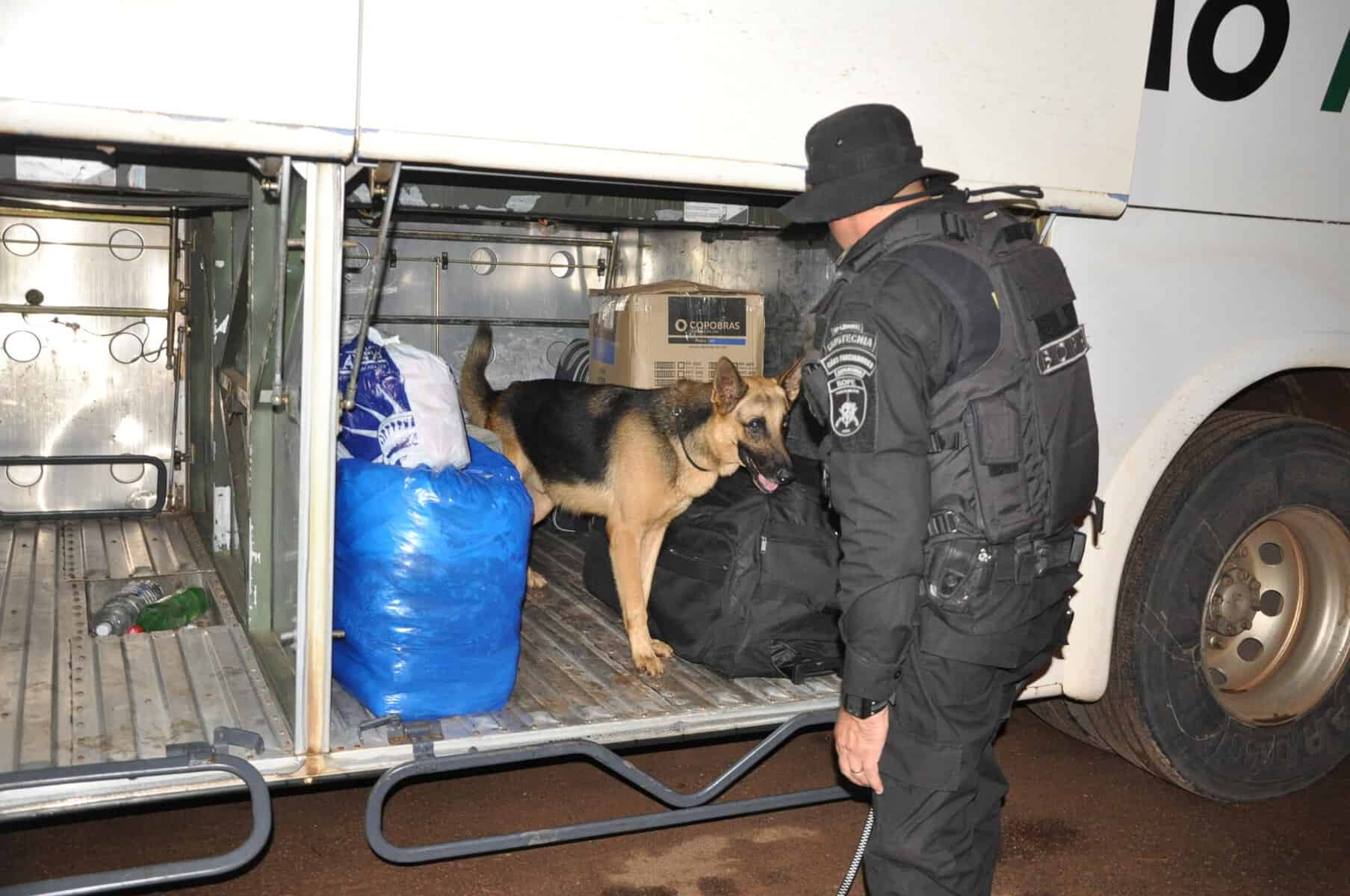 Forças de Segurança deflagram operação na rodovia BR-364