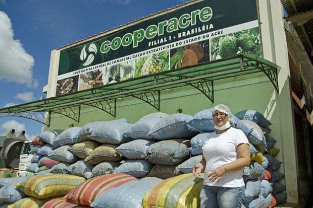 Milhares de sacos de castanhas são entregues à usina da Cooperacre em Brasiléia, sob o olhar atento de Felícia Maria Nogueira Leite, engenheira agrônoma (Foto: Haroldo Castro Época)