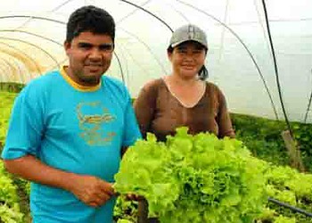 Benefício a produtores será feito nos próximos dois meses. (Foto: Ascom Acre)