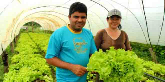 Benefício a produtores será feito nos próximos dois meses. (Foto: Ascom Acre)