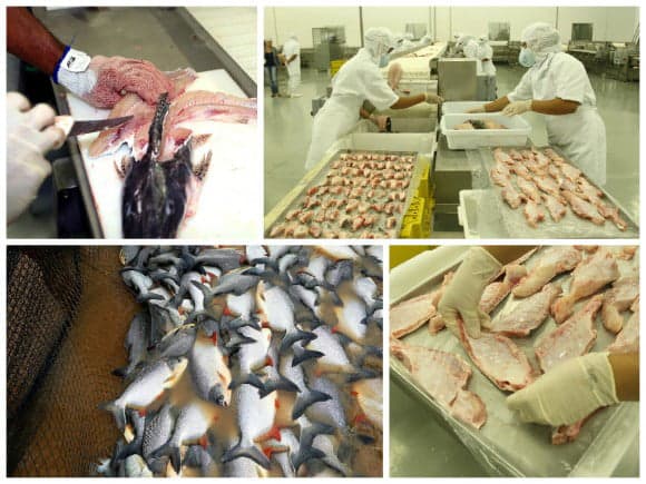 Acre ganha destaque e torna o Estado referência nacional. (Foto: Arquivo Secom Acre)