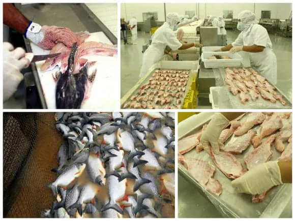 Acre ganha destaque e torna o Estado referência nacional. (Foto: Arquivo Secom Acre)