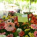 Feira de Flores de Holambra é prorrogada até a próxima quarta-feira 9 Feira de Flores de Holambra é prorrogada até a próxima quarta-feira