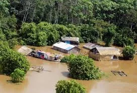 ‘Bolsa enchente’ entra em pauta no Senado Federal nesta quarta-feira