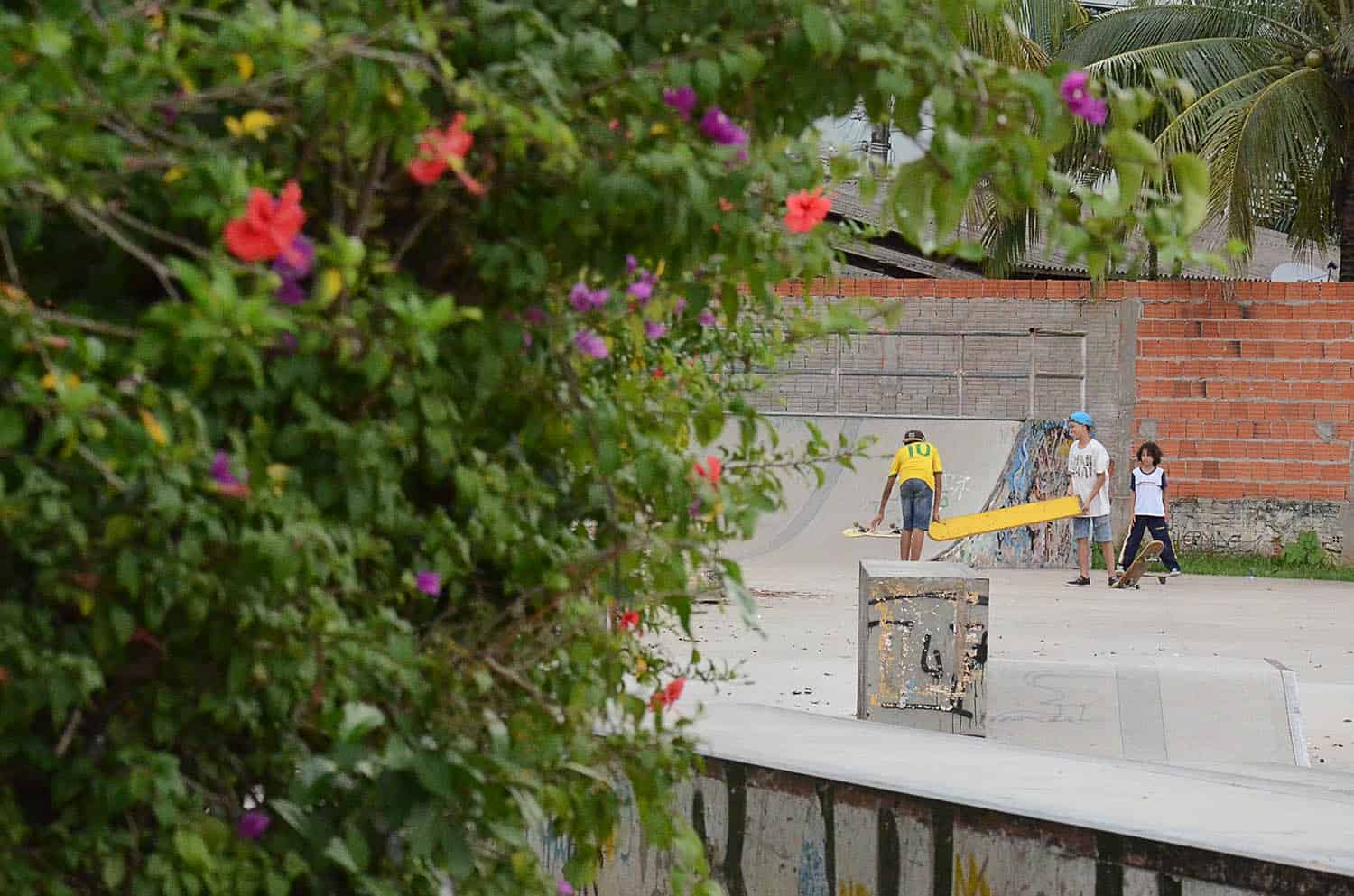 half de skate - OL (1)