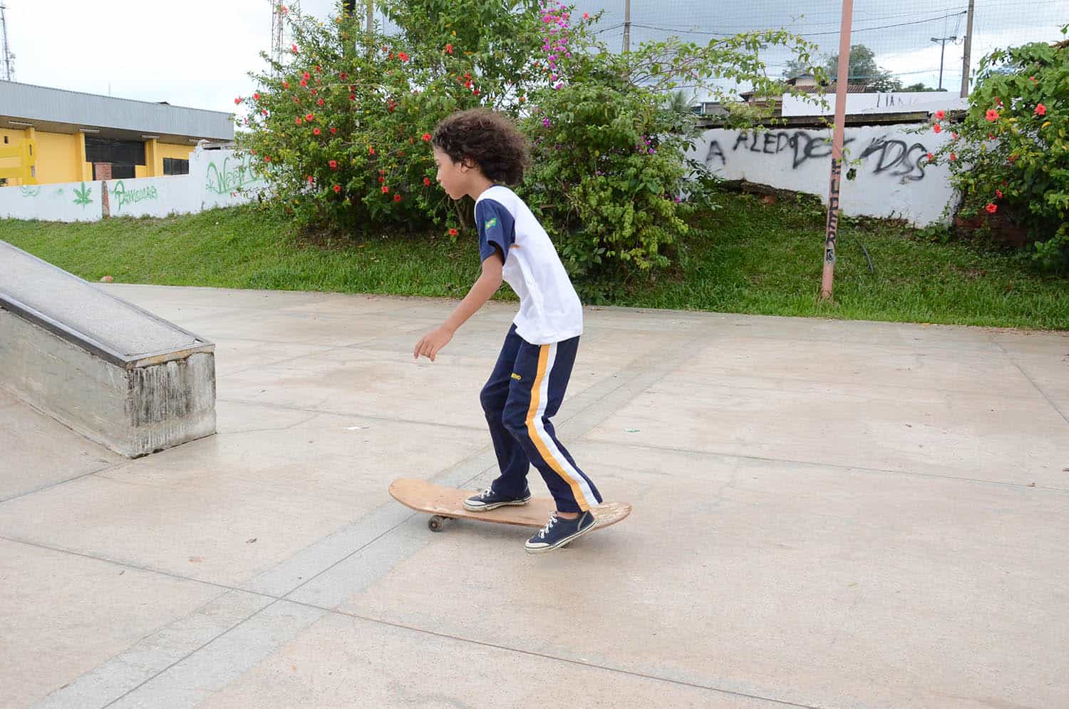 half de skate - OL (3)