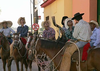 Inscrições de animais para a Cavalgada já estão abertas
