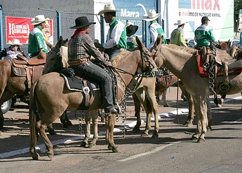 Fotos:Odair Leal/A GAZETA