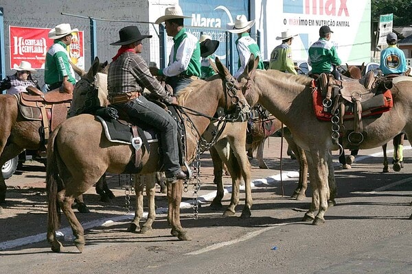Cavalgada 2015: MP/AC altera cláusula de acordo sobre montaria para crianças menores de 12 anos