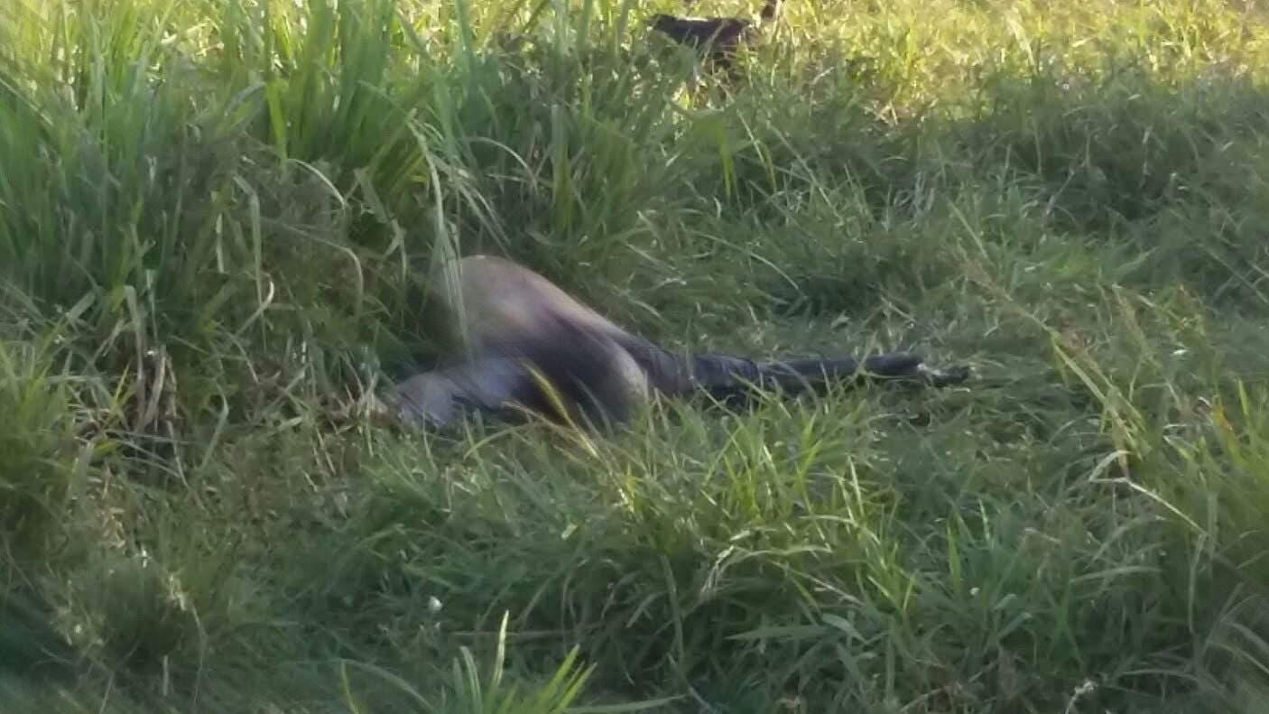 3 - IMG-20150716-WA0038 (1)