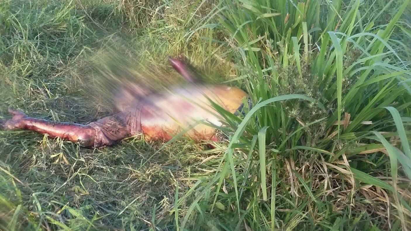 3 - IMG-20150716-WA0038 (2)