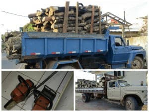 Polícia Ambiental apreende madeira extraída ilegalmente 1 A madeira e duas motosserras foram apreendidas