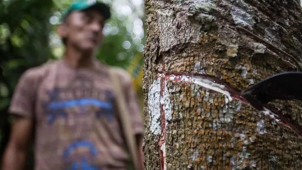 Seringueiro consegue na Justiça aposentadoria rural por idade